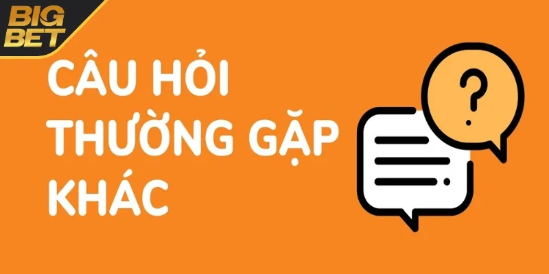 Câu hỏi thường gặp ở sân chơi