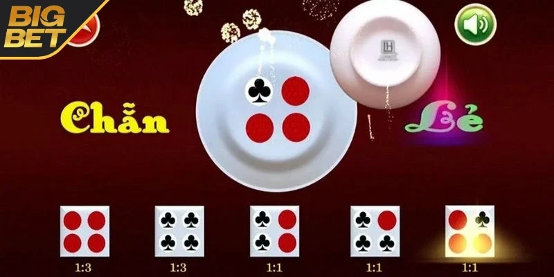 Chi tiết về xóc đĩa dành cho bạn